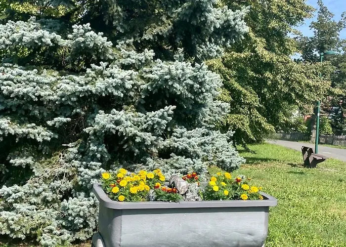 Helfert 1 Mit Grosser Terrasse